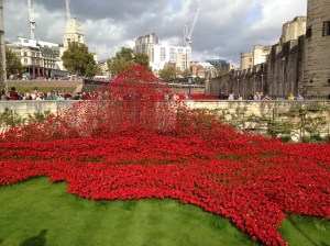 Poignant, but so Beautiful