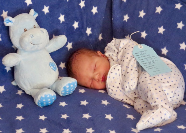 fullsizeoutput_4e9a3