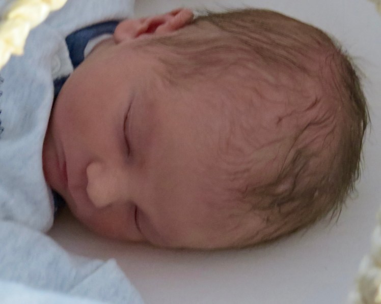 fullsizeoutput_4e9a7