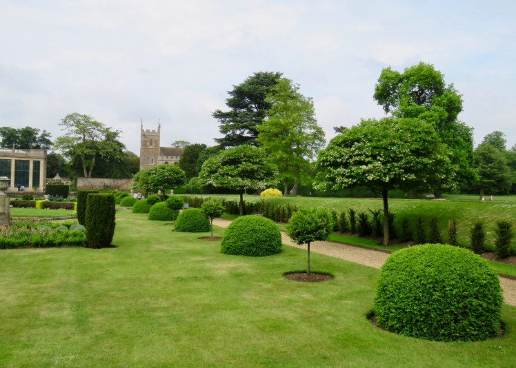 fullsizeoutput_65223