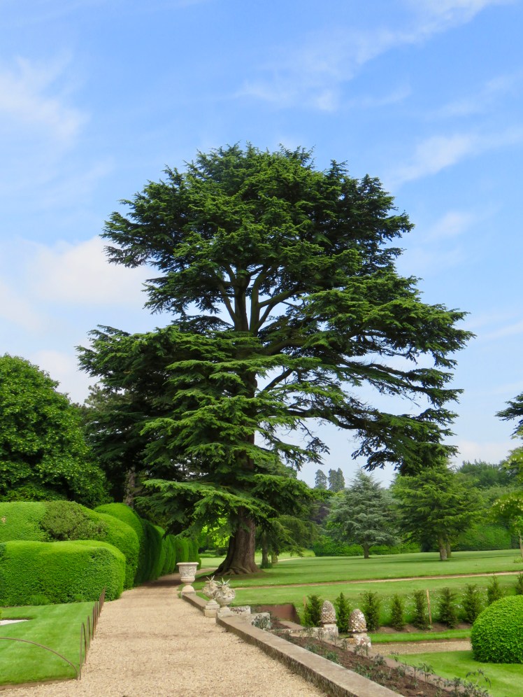 fullsizeoutput_65230