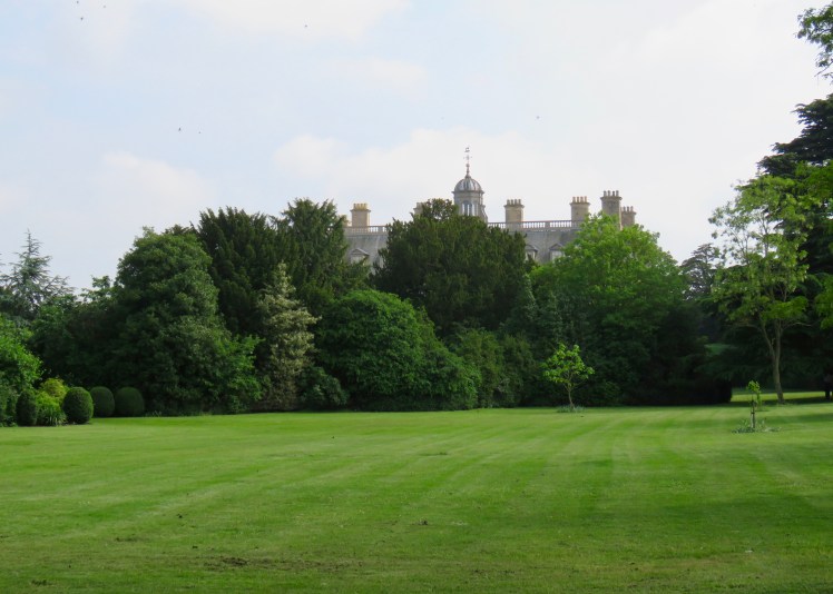 fullsizeoutput_65234