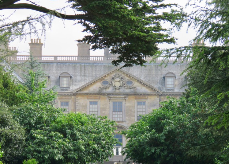 fullsizeoutput_65236