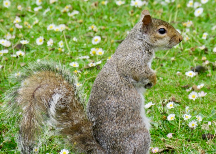 fullsizeoutput_65ca1