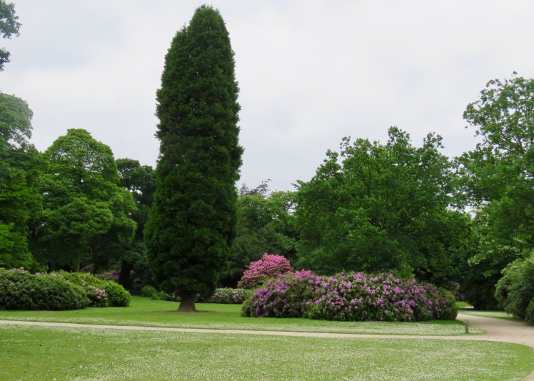 fullsizeoutput_65ca3