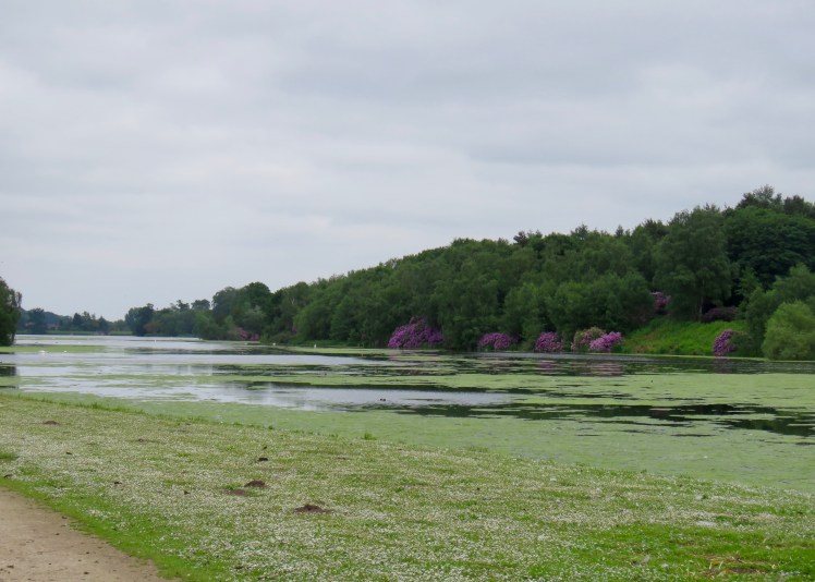 fullsizeoutput_65cab