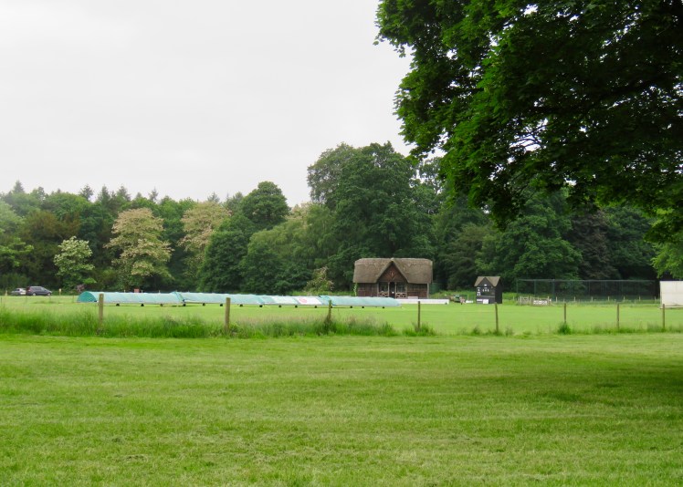 fullsizeoutput_65cd9