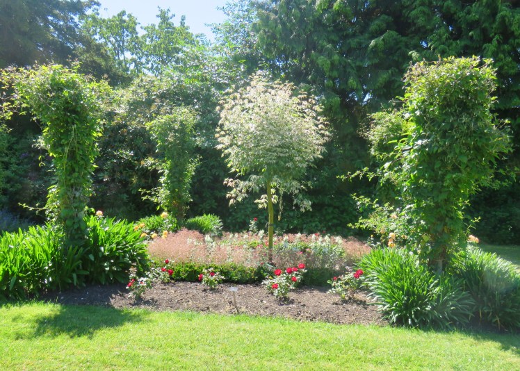 fullsizeoutput_67d53