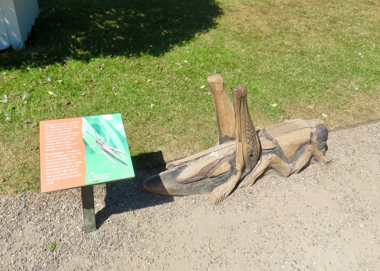 fullsizeoutput_67d67