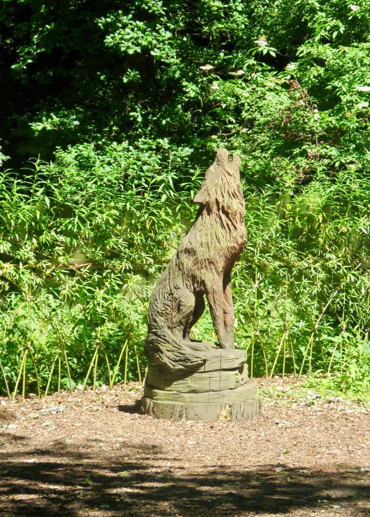 fullsizeoutput_67d6d