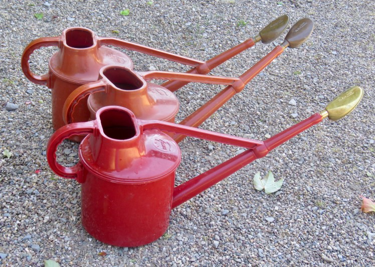 fullsizeoutput_67d8a