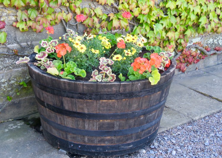 fullsizeoutput_67d8c