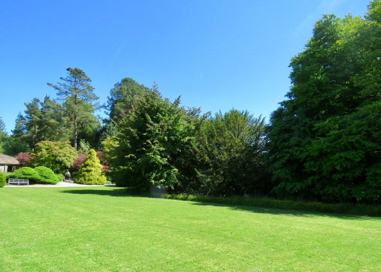 fullsizeoutput_67da1