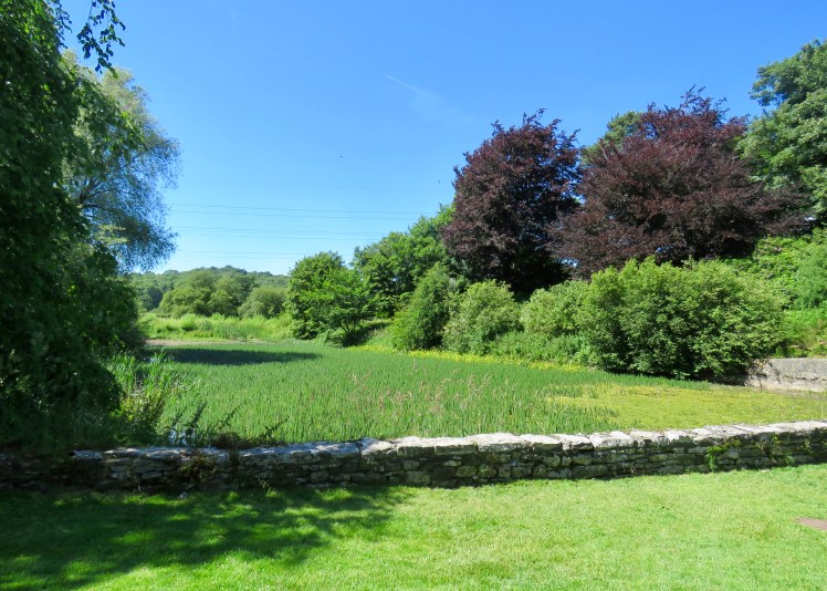 fullsizeoutput_67da5