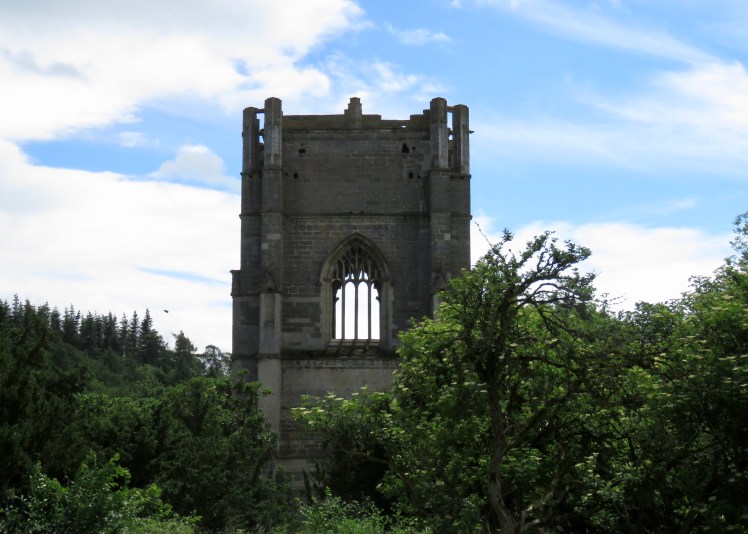 fullsizeoutput_69088