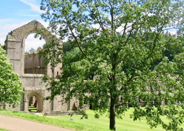 fullsizeoutput_6908e