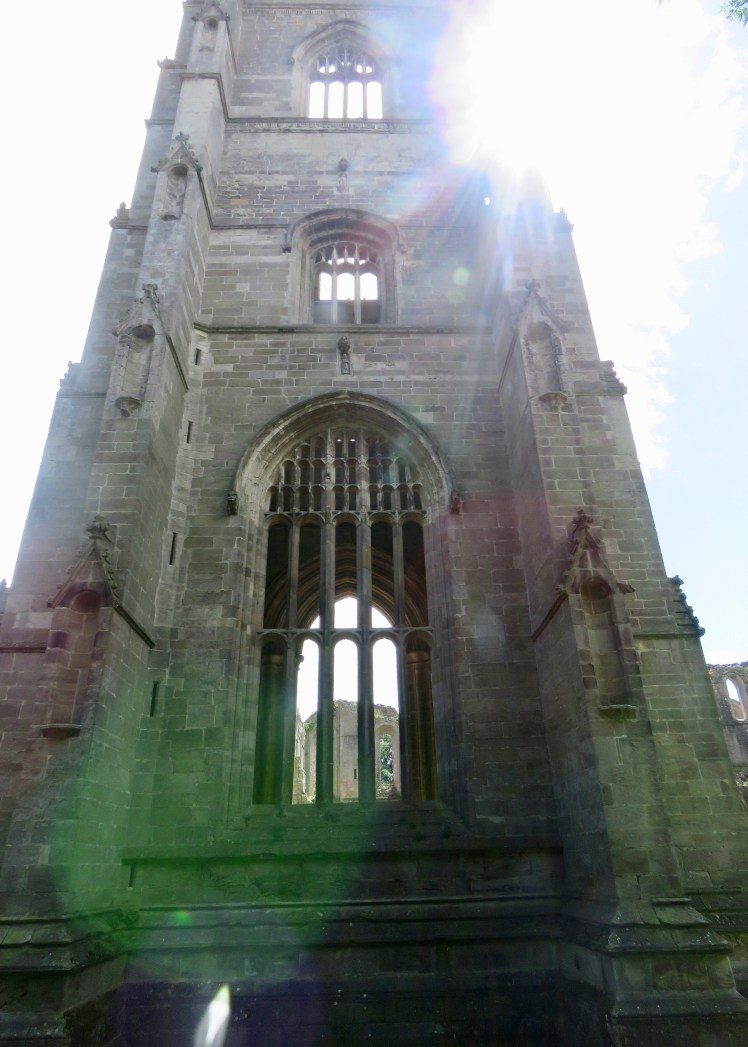 fullsizeoutput_69092