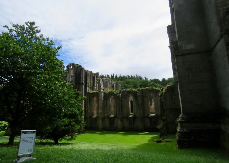 fullsizeoutput_69096