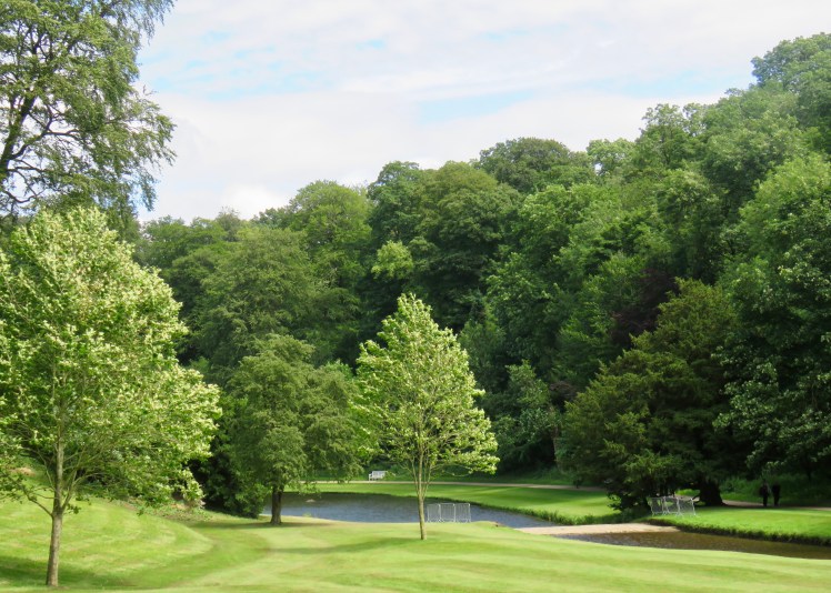 fullsizeoutput_6909c