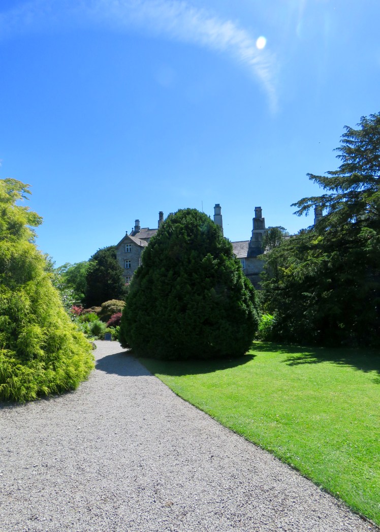 fullsizeoutput_690c3