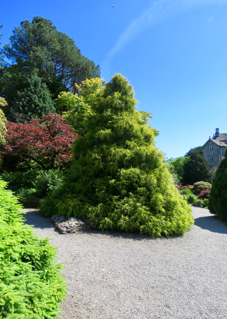 fullsizeoutput_690c4