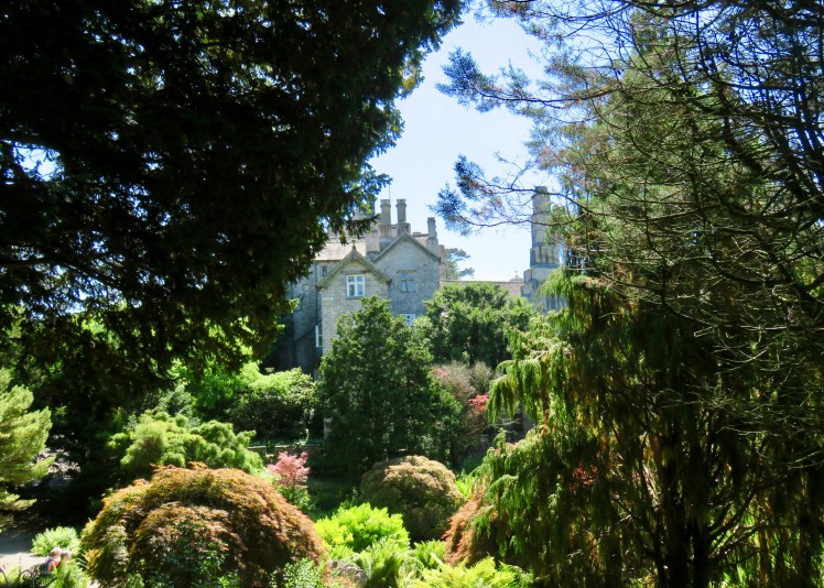 fullsizeoutput_690c8