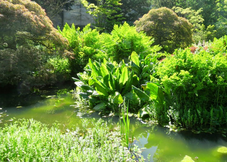 fullsizeoutput_690ee