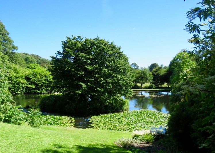 fullsizeoutput_690f2