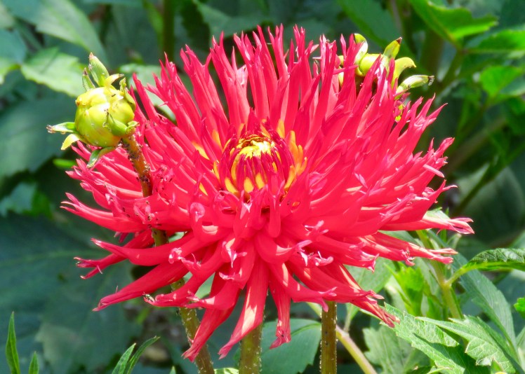 fullsizeoutput_69138