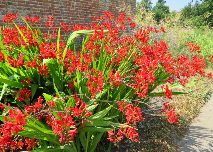 fullsizeoutput_69625