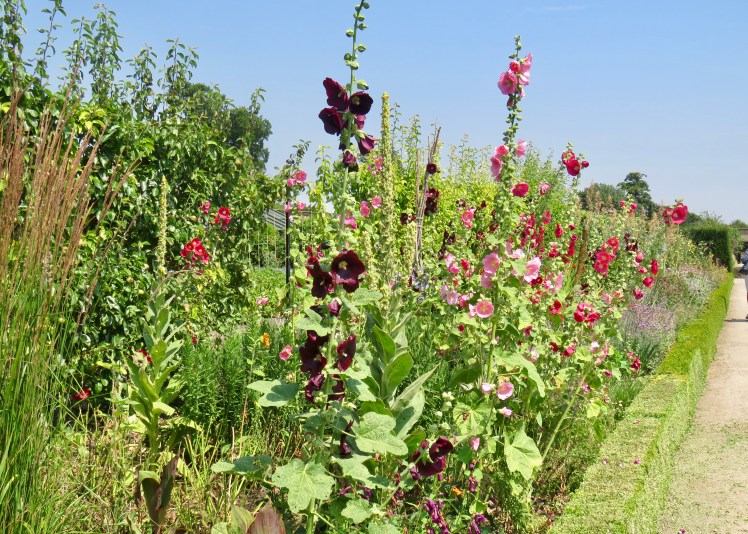 fullsizeoutput_6963b